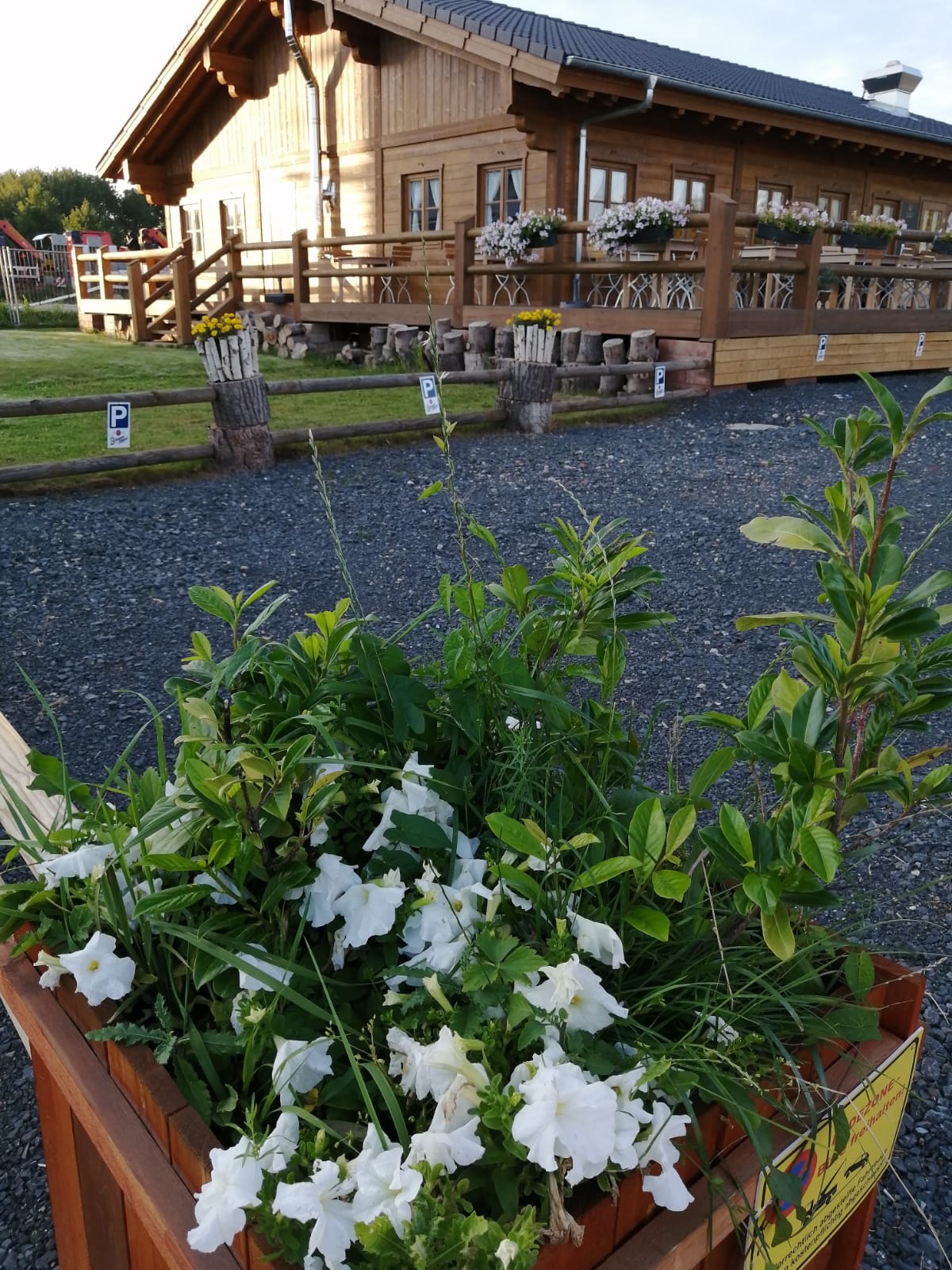 Außenansicht der hölzernen Hütte mit Terrasse und Blumen
